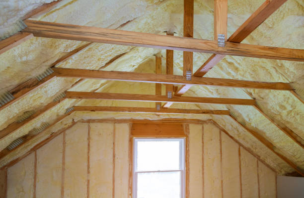 Best Best Insulation Companies  in Ronceverte, WV