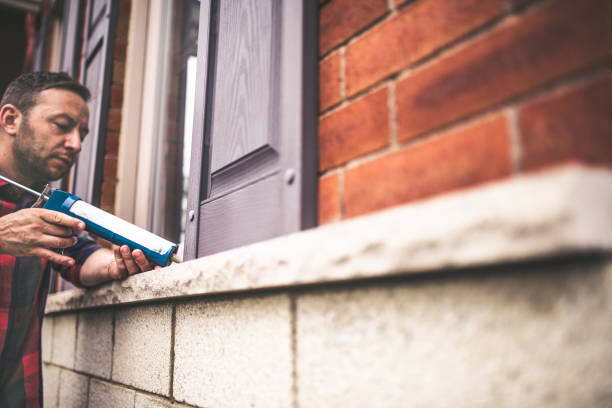 Best Insulation Removal  in Ronceverte, WV