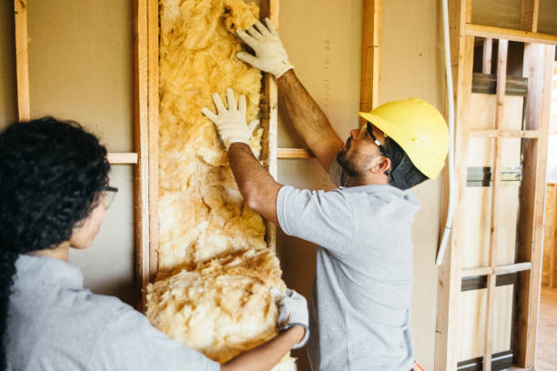 Trusted Ronceverte, WV Insulation Contractor Experts