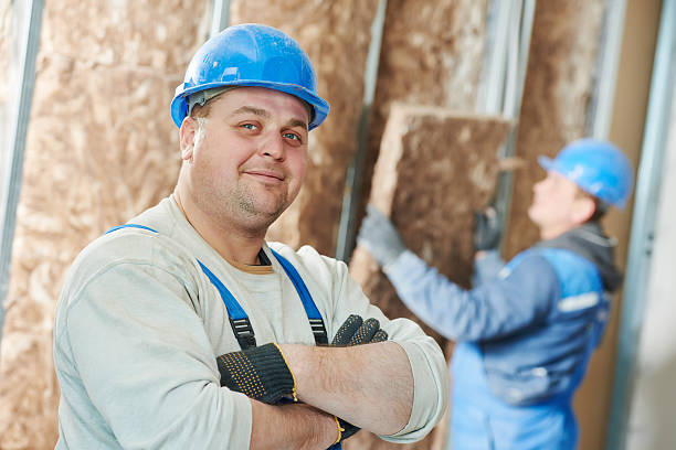 Best Energy-efficient Insulation  in Ronceverte, WV
