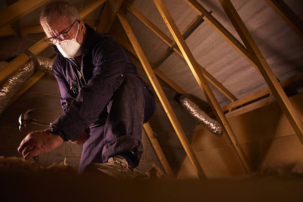 Best Attic Insulation Installation  in Ronceverte, WV